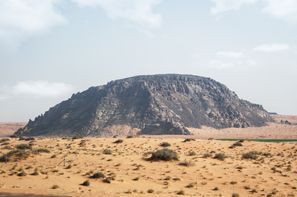 מלונות בבָּרָד, ערב הסעודית